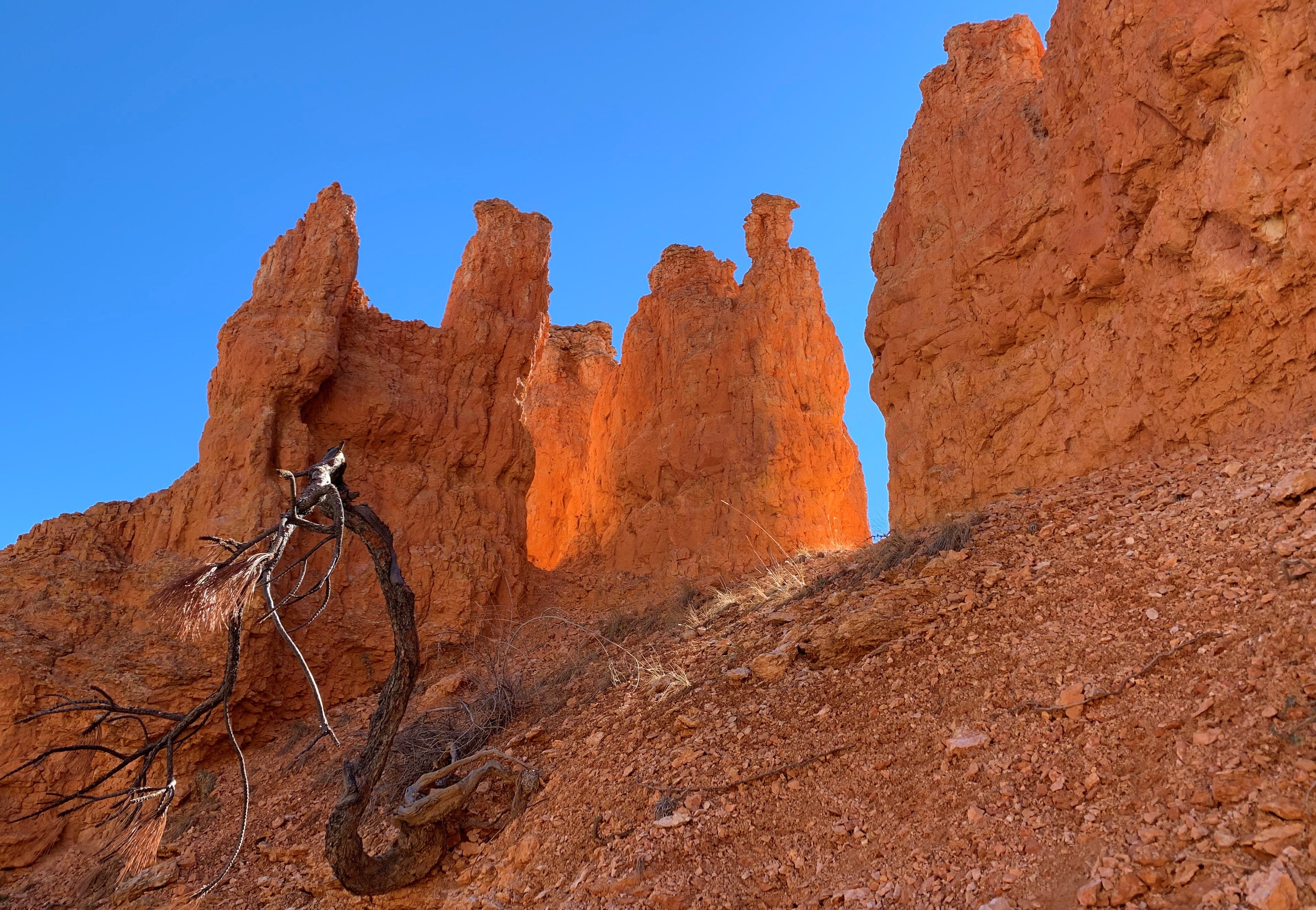 Bryce Canyon NP